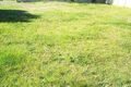 Property photo of 10 Stanford Street Pelaw Main NSW 2327