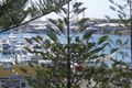 Property photo of 13/18 Macarthur Parade Main Beach QLD 4217
