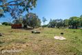 Property photo of 10 Forbes Street Cargo NSW 2800