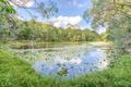 Property photo of 44 Firewheel Road Ringtail Creek QLD 4565