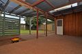 Property photo of 20 Parkwood Grove Mitchell Park SA 5043