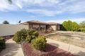 Property photo of 11 Milne Street Risdon Park SA 5540