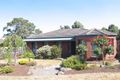 Property photo of 13 Wattletree Drive Mount Helen VIC 3350