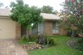 Property photo of 20 Eucalyptus Court Oxenford QLD 4210