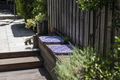 Property photo of 55 Harrington Street Enmore NSW 2042
