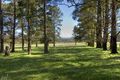Property photo of 352 Turpentine Road Tomerong NSW 2540