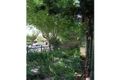 Property photo of 43 Alphington Street Alphington VIC 3078