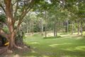 Property photo of 64-66 River Gum Drive Diddillibah QLD 4559