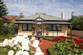 Property photo of 109 Allinga Avenue Glenunga SA 5064