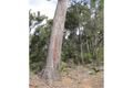 Property photo of 51 Jarrah Road Manjimup WA 6258