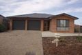 Property photo of 11 Mornington Street Amaroo ACT 2914