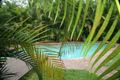 Property photo of 13 Lords Avenue Mount Nathan QLD 4211