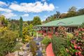 Property photo of 20 Atkinsons Road Grindelwald TAS 7277
