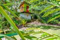 Property photo of 102 Fairview Road Monkland QLD 4570