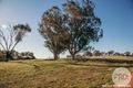 Property photo of 10 Fenner Drive Lloyd NSW 2650