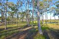 Property photo of 733 Bucca Road Bucca QLD 4670