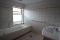 Property photo of 282 Buchan Street Westcourt QLD 4870