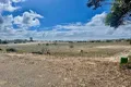 Property photo of 32 Peregrine Drive Marion Bay SA 5575