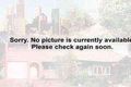 Property photo of 7 Bickleigh Street Glen Iris VIC 3146