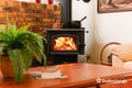 Property photo of 193-195 Brushwood Crescent Cedar Grove QLD 4285