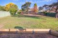 Property photo of 5 Eucalypt Avenue Muswellbrook NSW 2333