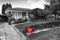 Property photo of 42 Staples Street Kingsgrove NSW 2208