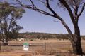 Property photo of 11 Carter Road Cunderdin WA 6407
