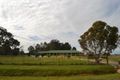 Property photo of 25 Dawe Road Tallarook VIC 3659
