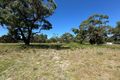 Property photo of LOT 6 Repeater Station Road Naracoorte SA 5271