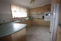 Property photo of 11 Solander Place Mount Annan NSW 2567