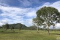 Property photo of 235 Laudham Road Pinnacles QLD 4815