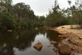 Property photo of 133 Syme Road Herberton QLD 4887