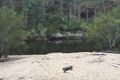 Property photo of 133 Syme Road Herberton QLD 4887