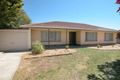 Property photo of 8 Hughes Avenue St Agnes SA 5097
