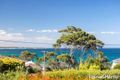 Property photo of 28 Victor Avenue Narrawallee NSW 2539