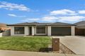 Property photo of 12 Lorikeet Avenue Epsom VIC 3551