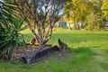 Property photo of 31 Johnson Drive Lockrose QLD 4342