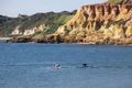 Property photo of 21 Wells Road Beaumaris VIC 3193