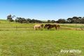 Property photo of 3 West Terrace Callington SA 5254