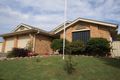 Property photo of 7 Blueberry Close Toronto NSW 2283