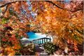 Property photo of 12 Rafferty Street Chapman ACT 2611