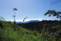 Property photo of LOT 213 Kelly Road Ellinjaa QLD 4886