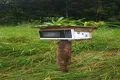 Property photo of LOT 213 Kelly Road Ellinjaa QLD 4886