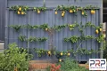 Property photo of 6 Gap Street Parkes NSW 2870