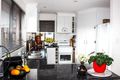 Property photo of 12 Palm Court St Helens TAS 7216