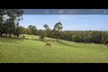 Property photo of 24 Ramsay Road Railton TAS 7305