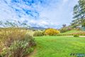 Property photo of 288 Merriang Homestead Road Merriang South VIC 3737