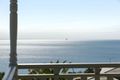 Property photo of 14 Capri Drive Mount Martha VIC 3934