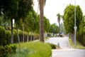 Property photo of 78 Willowbank Drive Kirwan QLD 4817