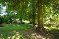 Property photo of 15 Meringo Street Bega NSW 2550